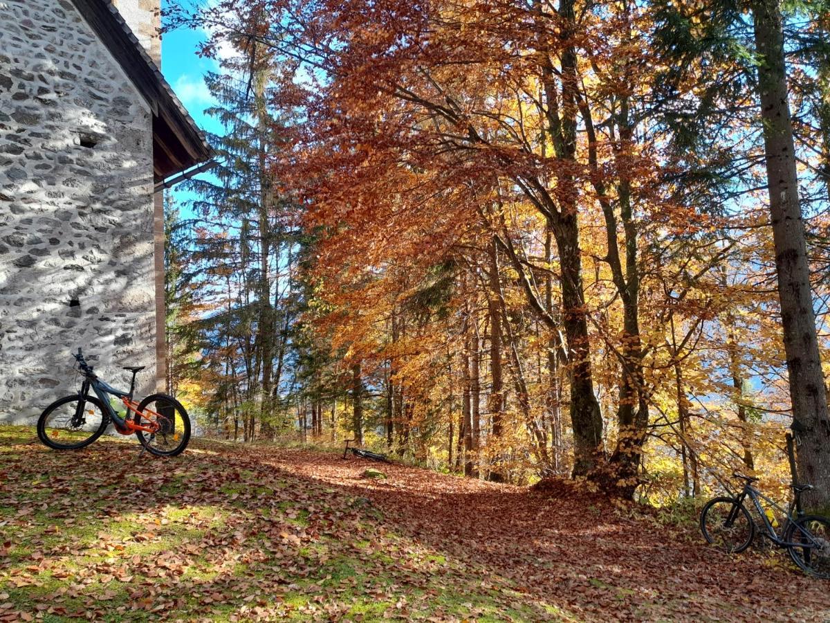 Zitas Ferienwohnung Reisach Buitenkant foto